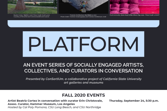 Flyer for Platform