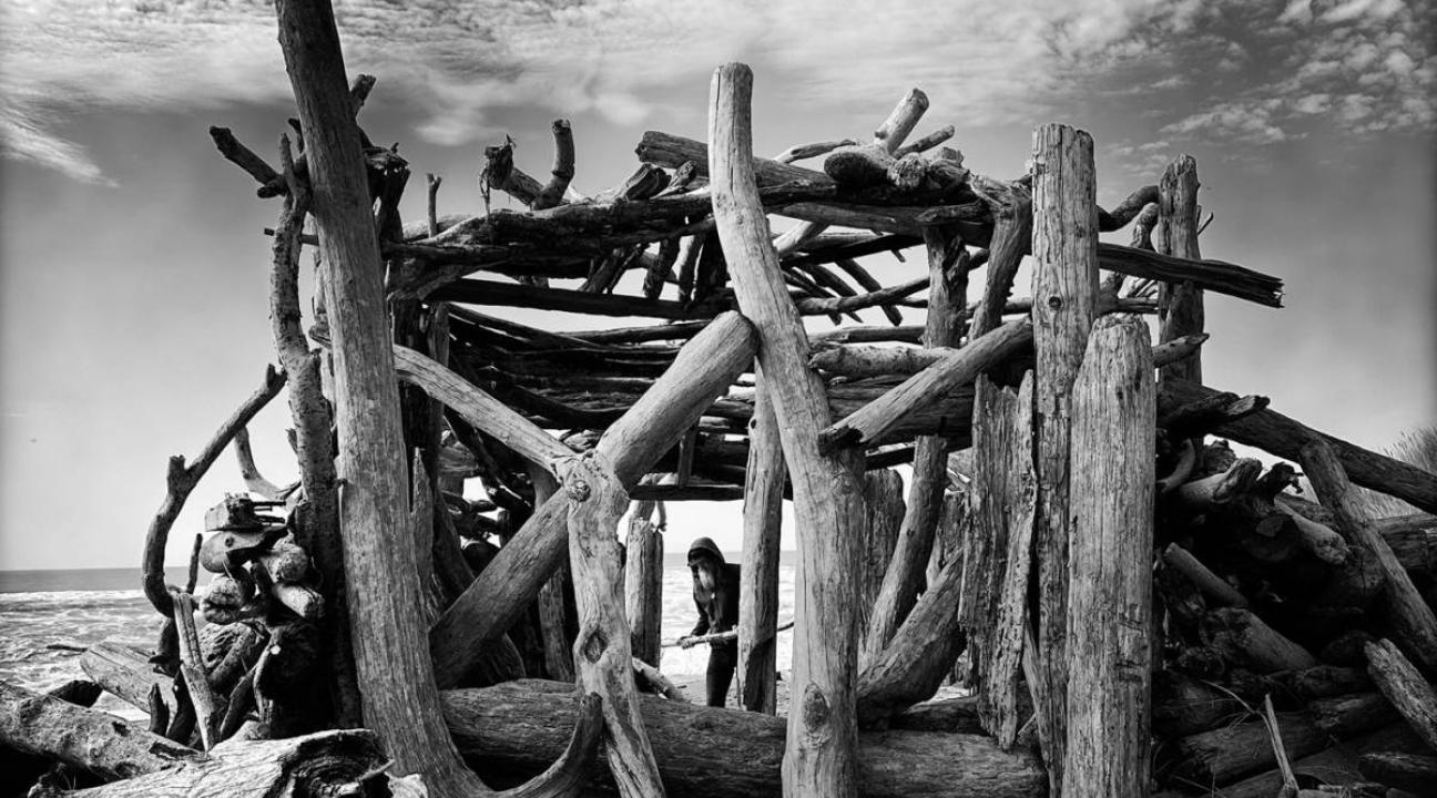 Fortitude