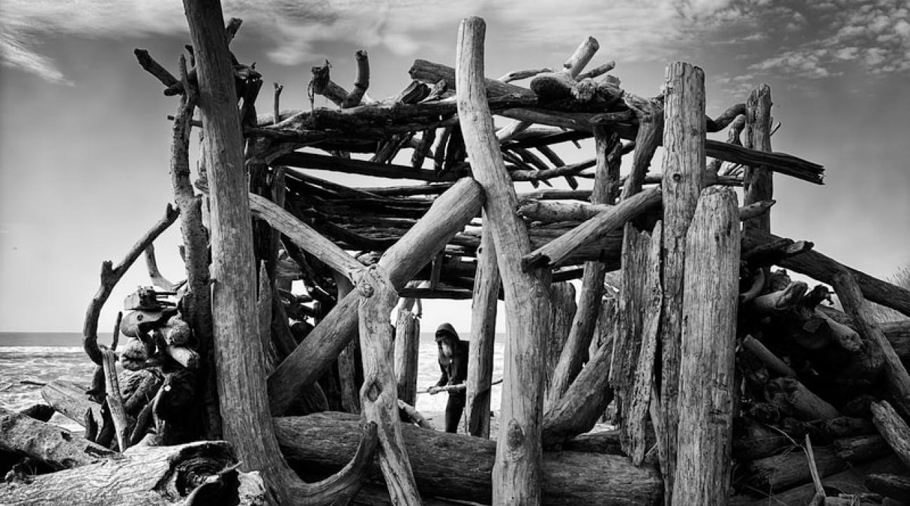 Fortitude
