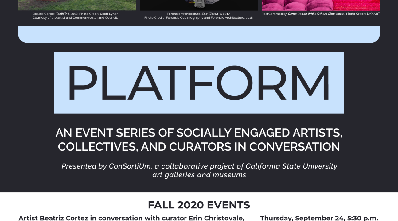 Flyer for Platform