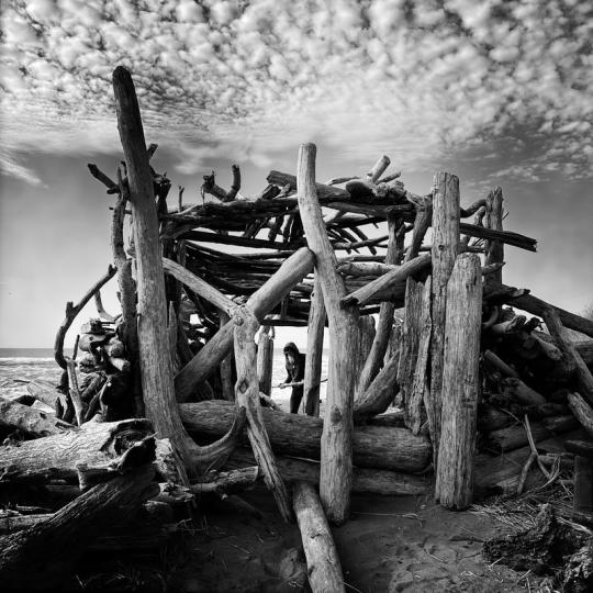 Fortitude