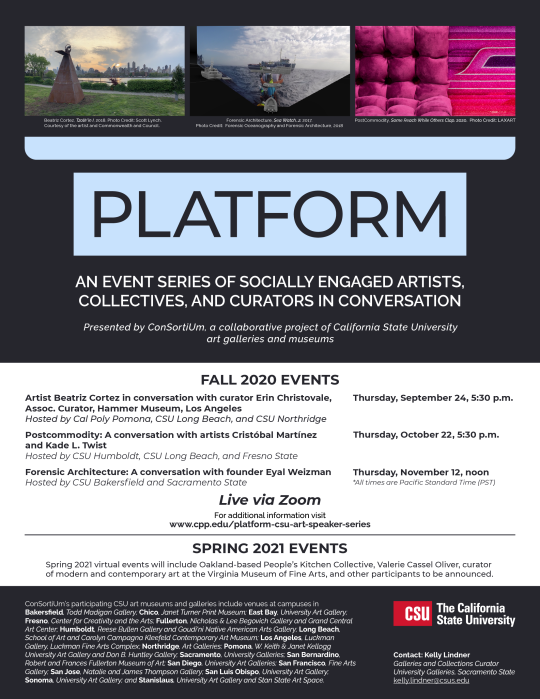 Flyer for Platform